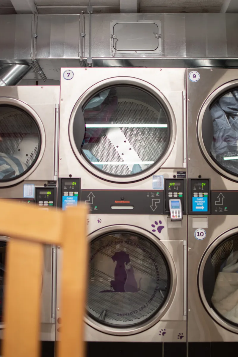Purple Paws dedicated pet blanket dryer at Coast Laundromat Whangaparaoa